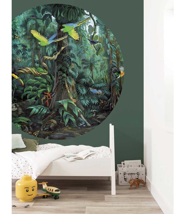 Wallpaper Circle Tropical Landscapes