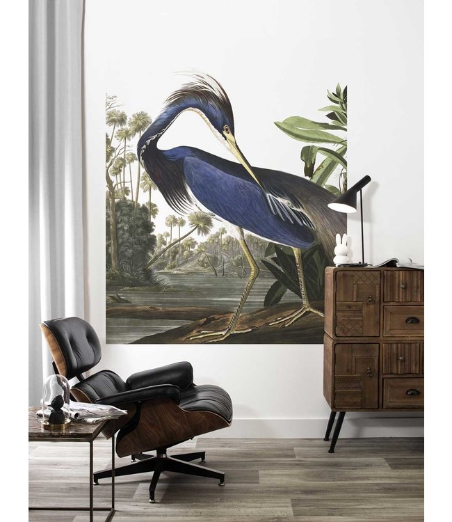 Tapetenpaneel Louisiana Heron, 142.5 x 180 cm
