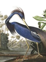 Wallpaper Panel Louisiana Heron, 142.5 x 180 cm