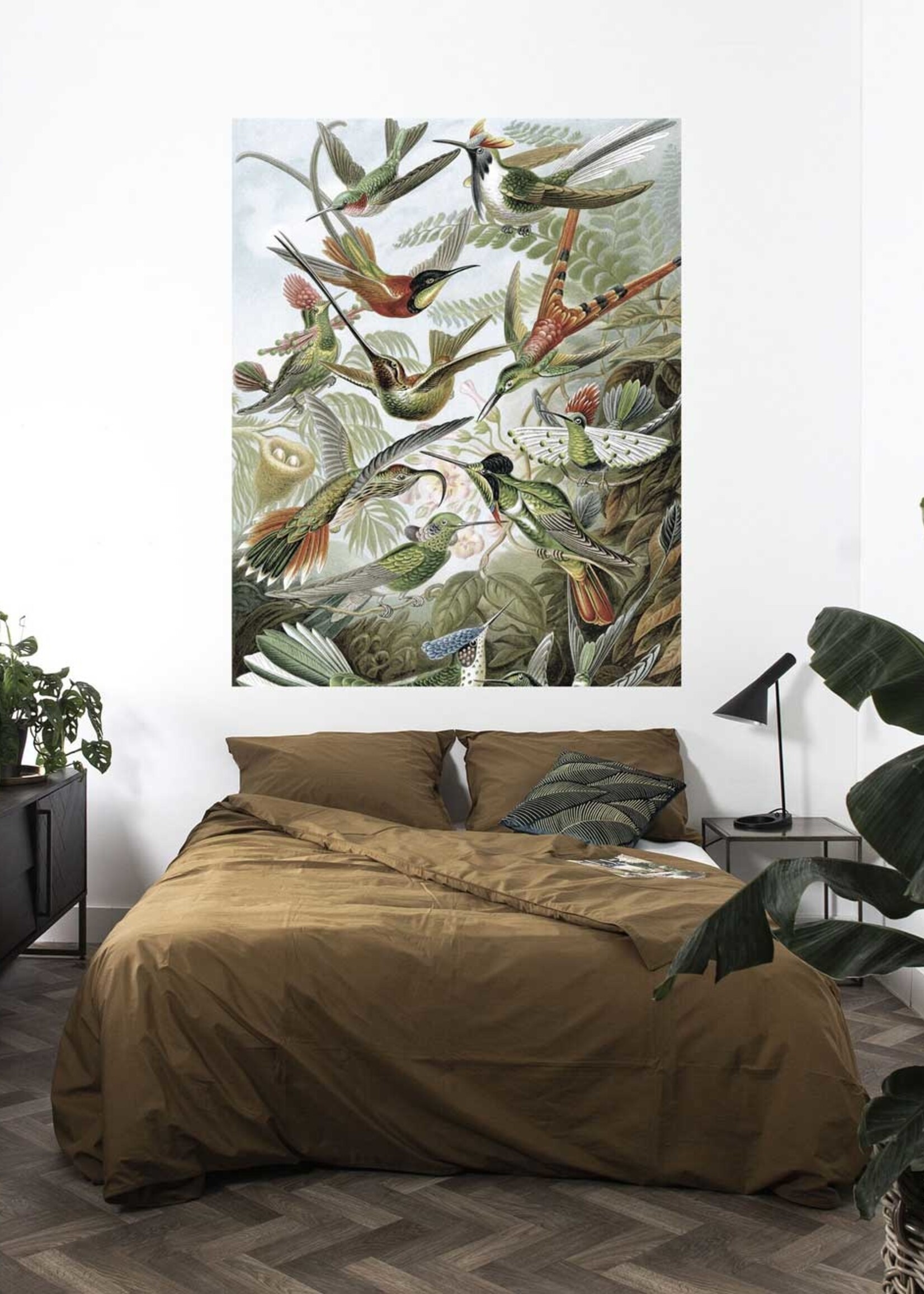 Behangpaneel Exotic Birds, 142.5 x 180 cm