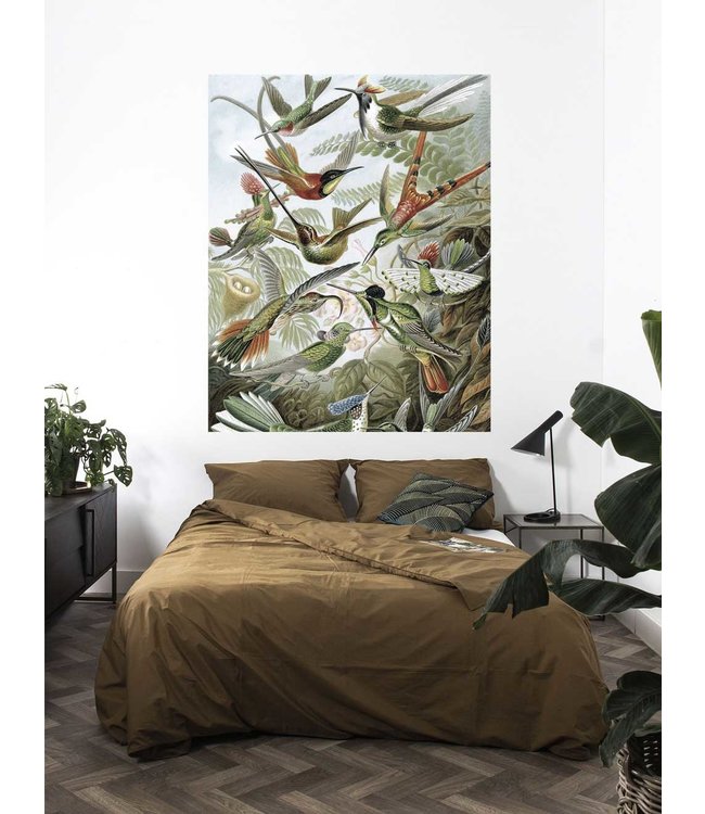 Behangpaneel Exotic Birds, 142.5 x 180 cm