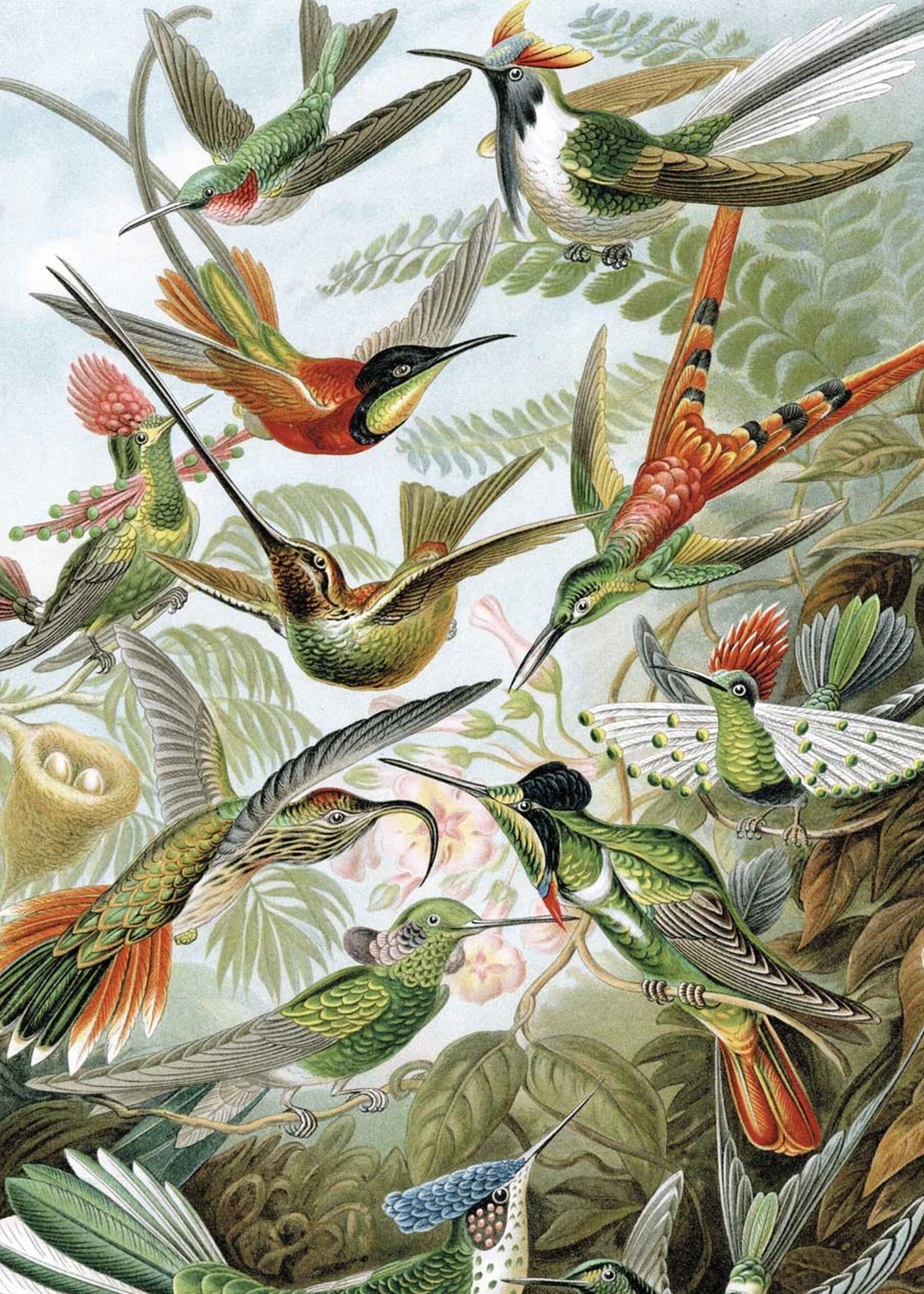 Behangpaneel Exotic Birds, 142.5 x 180 cm