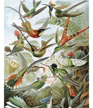 Behangpaneel Exotic Birds, 142.5 x 180 cm