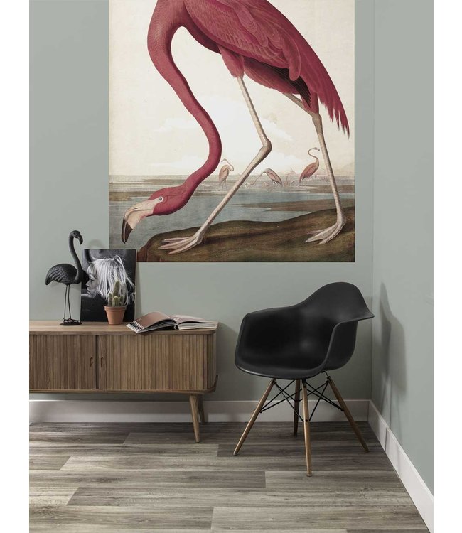 Behangpaneel Flamingo, 142.5 x 180 cm