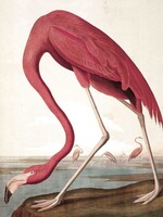 Wallpaper Panel Flamingo, 142.5 x 180 cm
