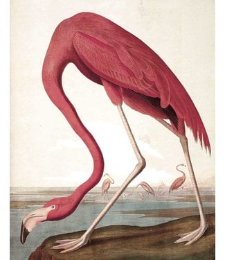 Tapetenpaneel Flamingo, 142.5 x 180 cm