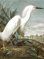 Wallpaper Panel Snowy Heron, 142.5 x 180 cm
