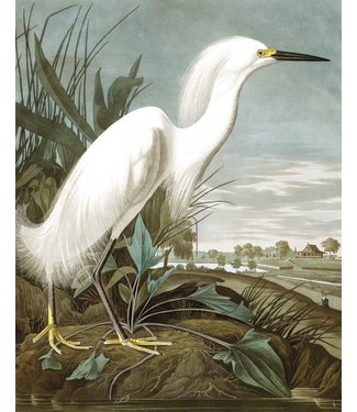 Tapetenpaneel Snowy Heron, 142.5 x 180 cm