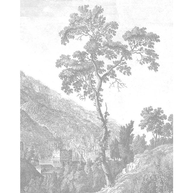 Tapetenpaneel Engraved Landscapes, 142.5 x 180 cm