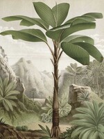 Behangpaneel Banana Tree, 142.5 x 180 cm