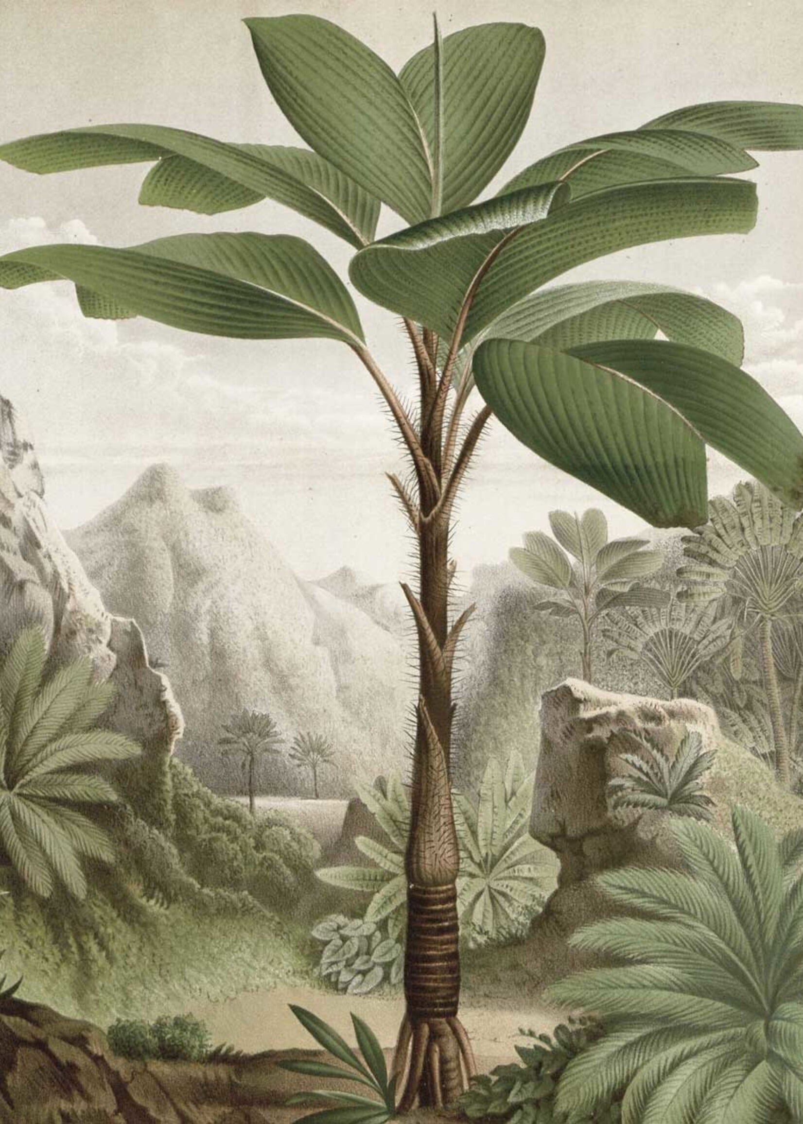 Wallpaper Panel Banana Tree, 142.5 x 180 cm