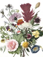 Tapetenpaneel Wild Flowers, 142.5 x 180 cm