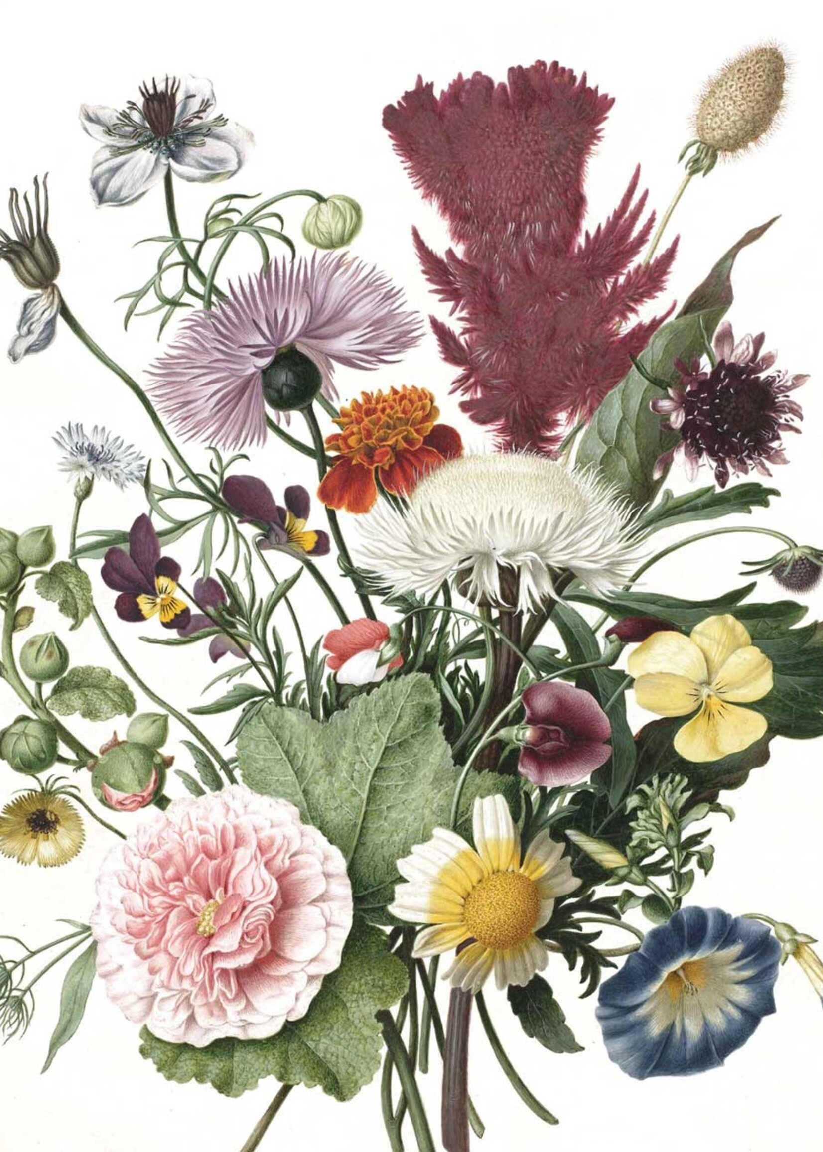 Tapetenpaneel Wild Flowers, 142.5 x 180 cm
