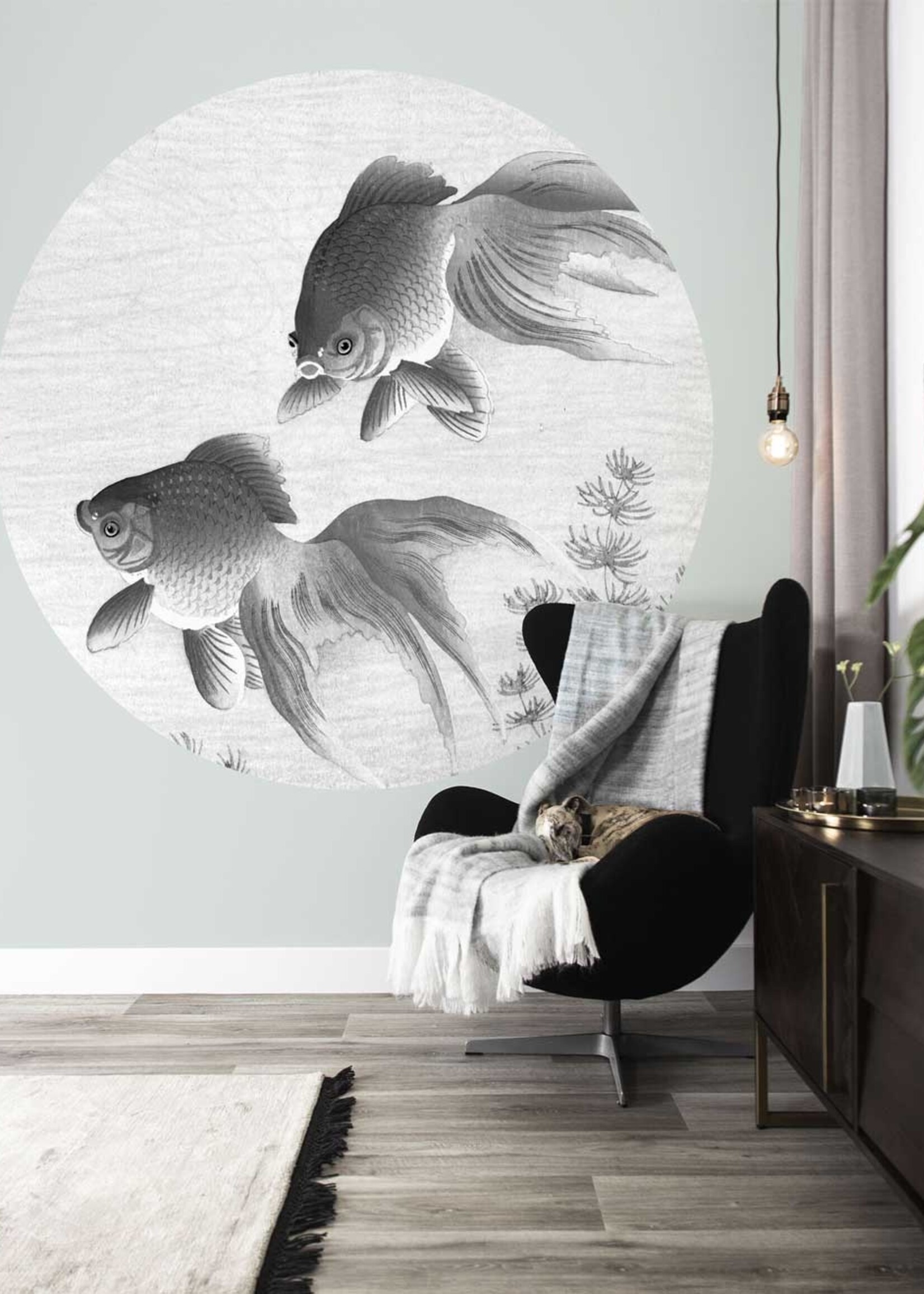 Wallpaper Circle Goldfish