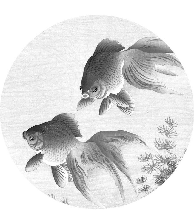 Behangcirkel Goldfish