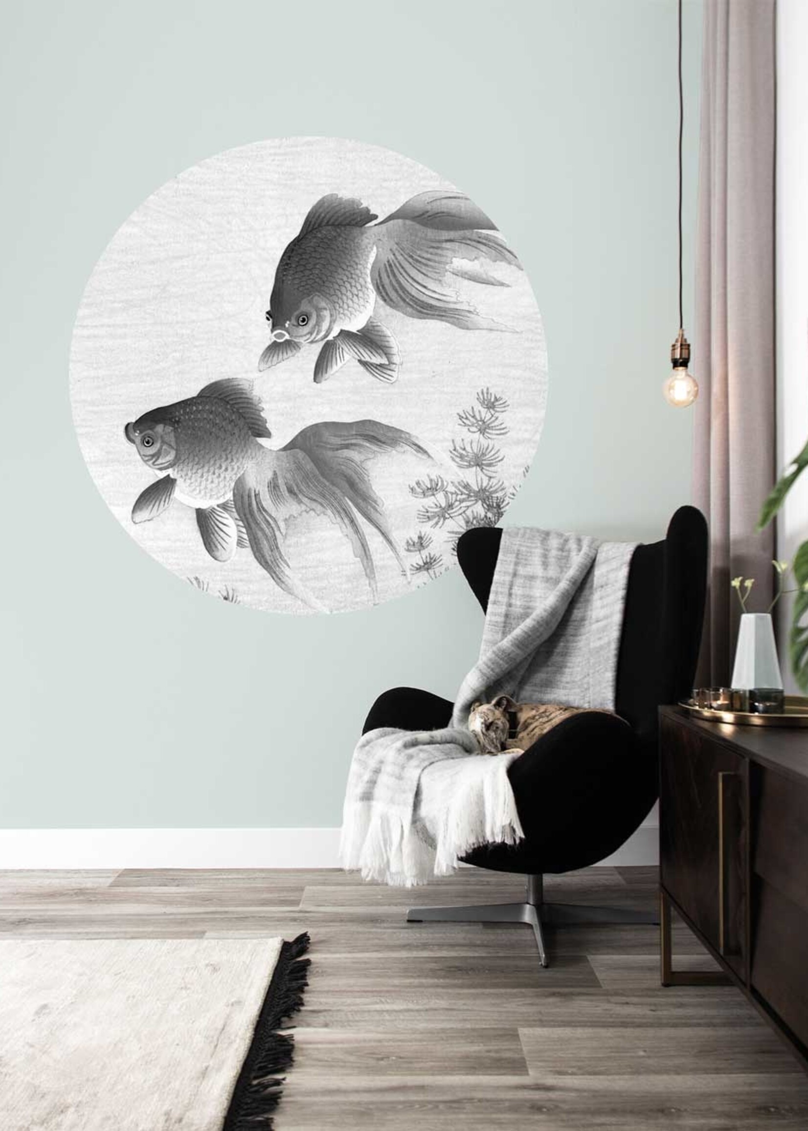 Behangcirkel Goldfish