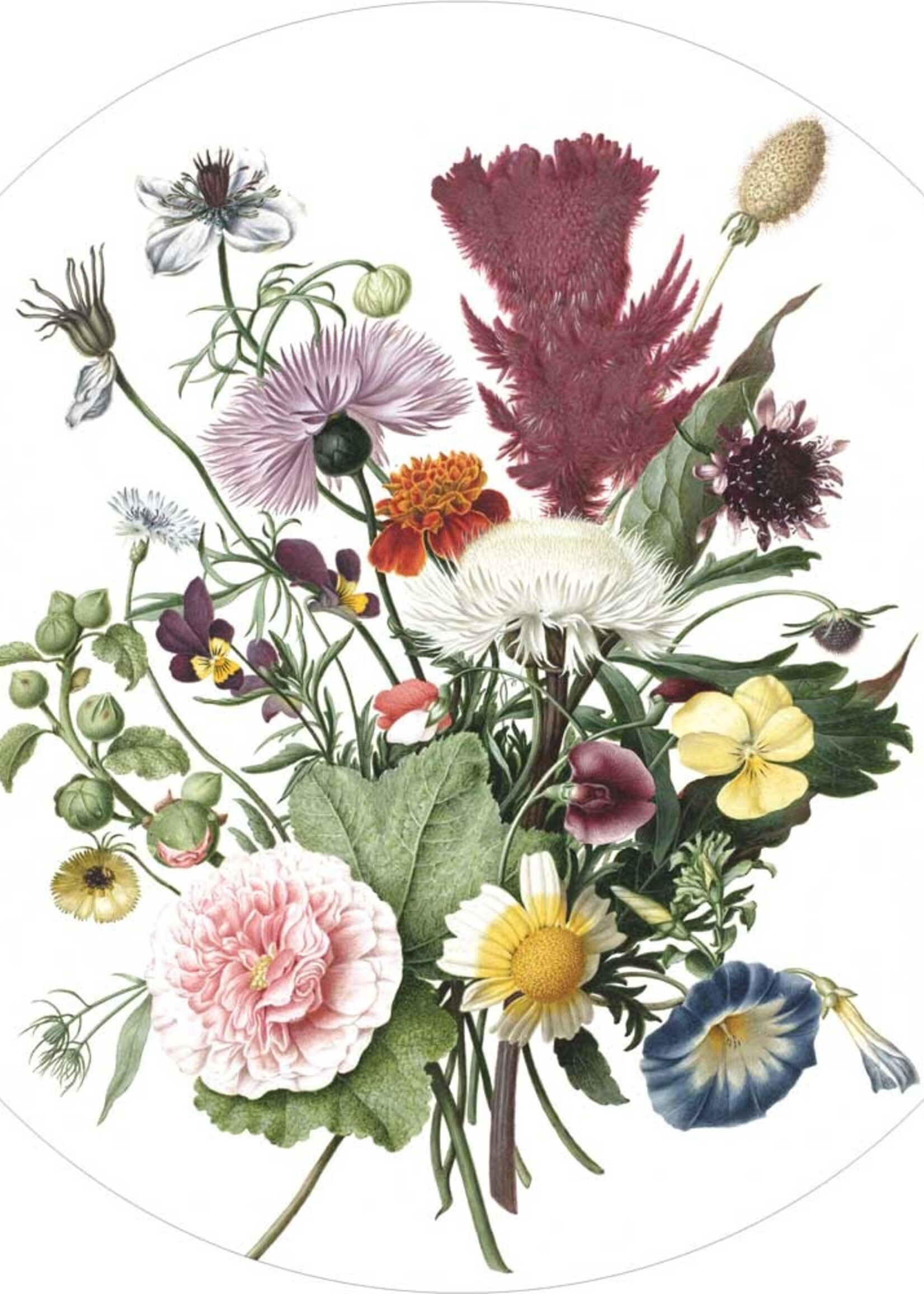 Wallpaper Circle Wild Flowers