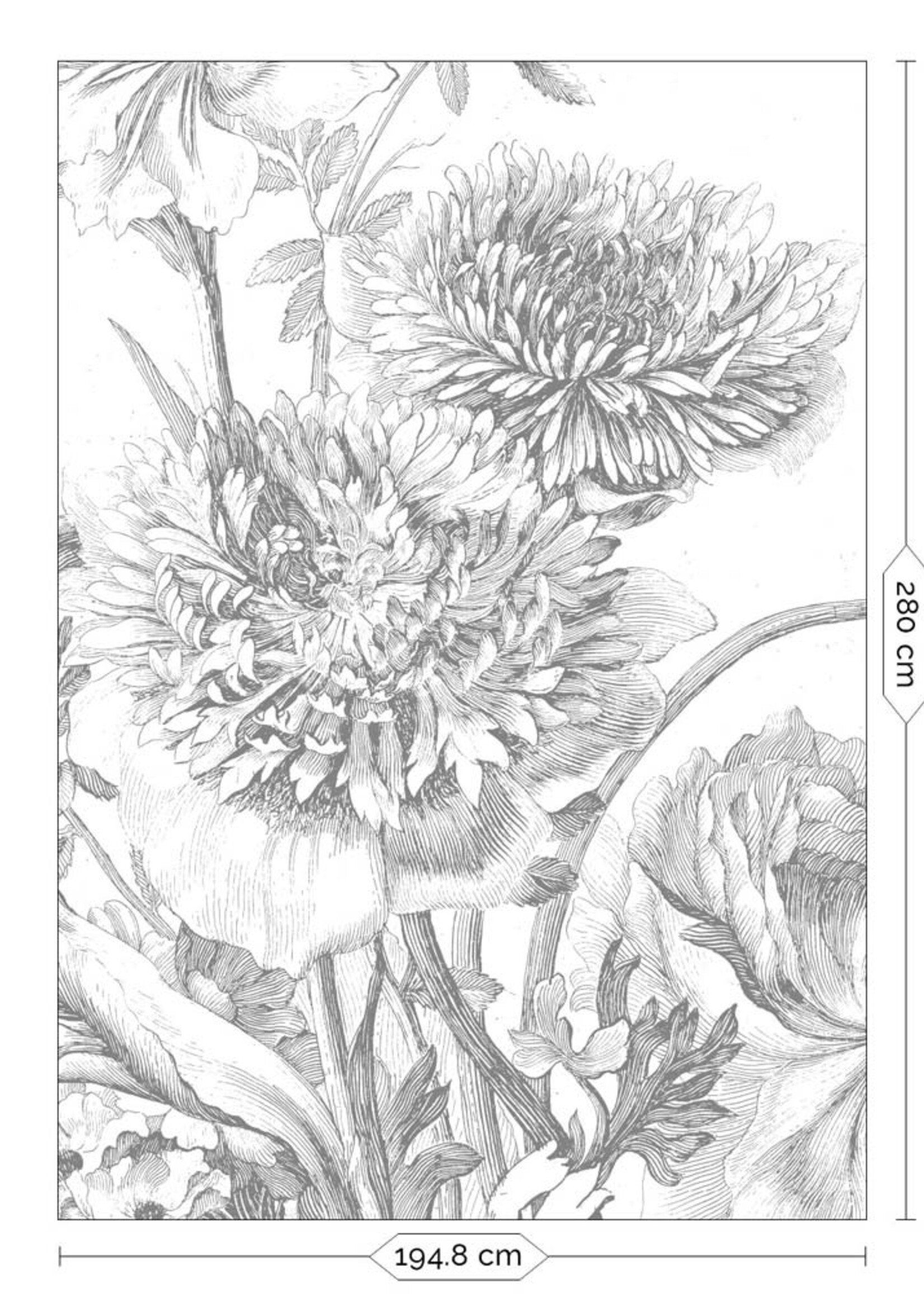 Fototapete Engraved Flowers
