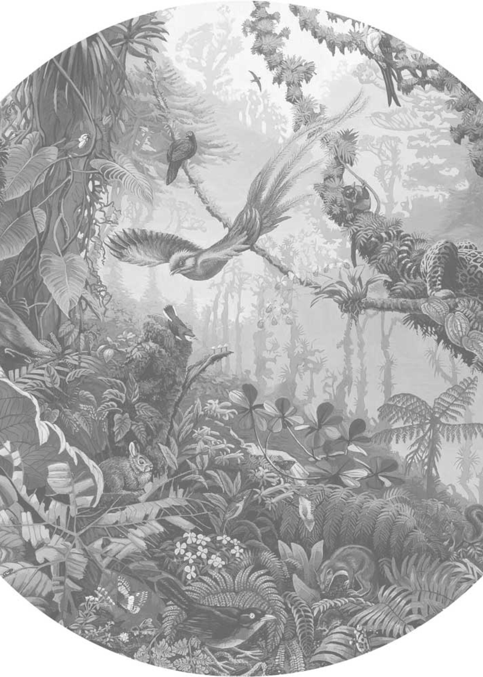 Wallpaper Circle Tropical Landscapes