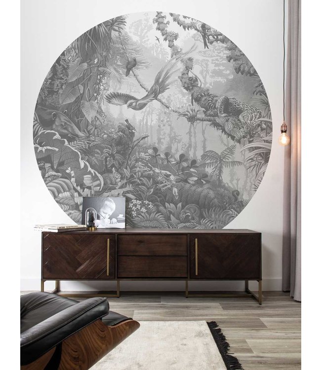 Wallpaper Circle Tropical Landscapes