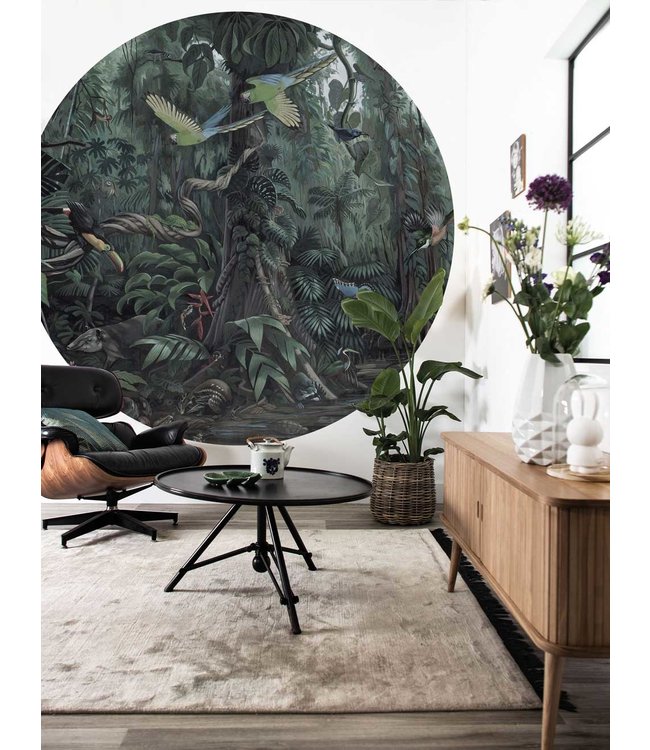 Wallpaper Circle Tropical Landscapes