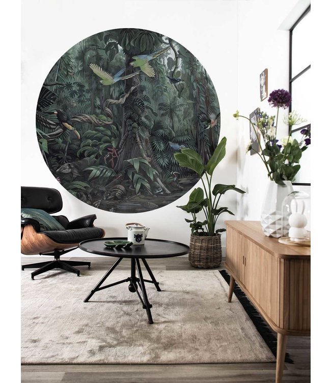 Wallpaper Circle Tropical Landscapes