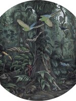 Wallpaper Circle Tropical Landscapes