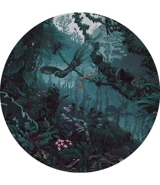 Wallpaper Circle Tropical Landscapes