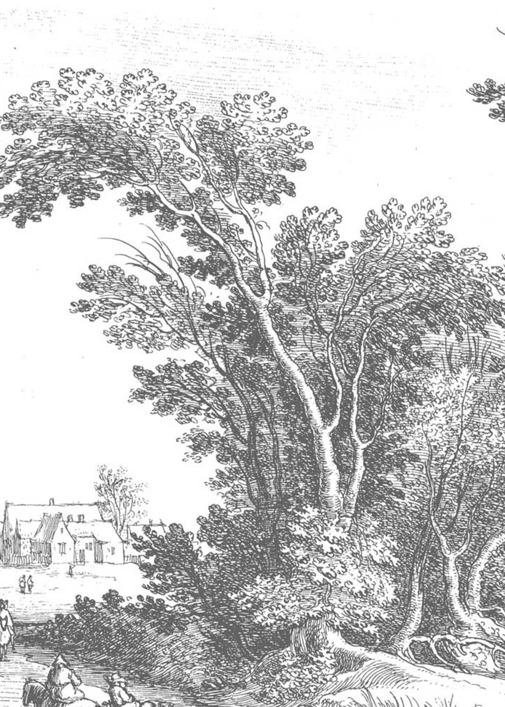 Wall Mural Engraved Landscapes