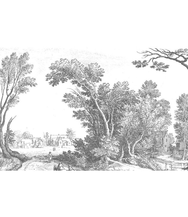 Wall Mural Engraved Landscapes