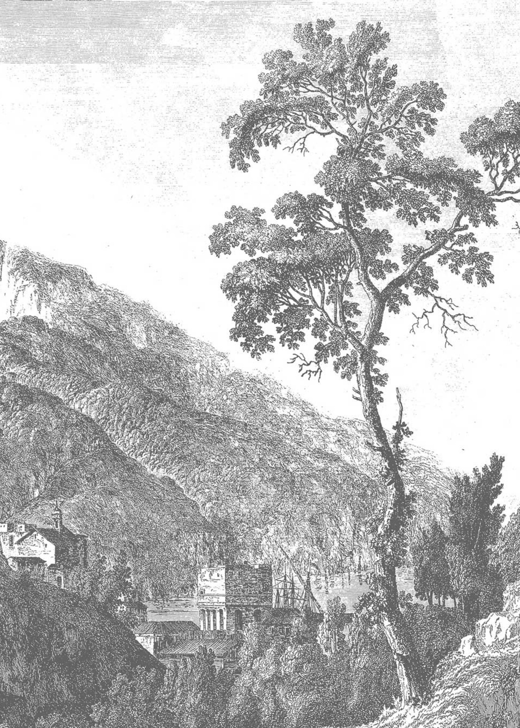 Wall Mural Engraved Landscapes