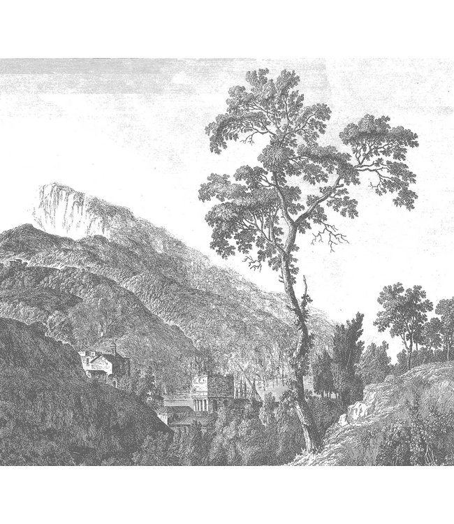 Wall Mural Engraved Landscapes