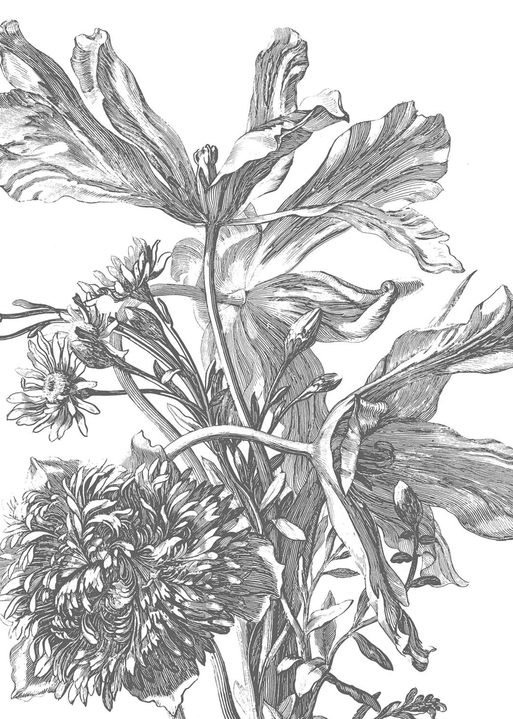 Fototapete Engraved Flowers
