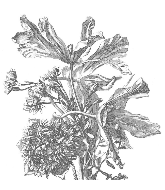 Bloemen behang Engraved Flowers