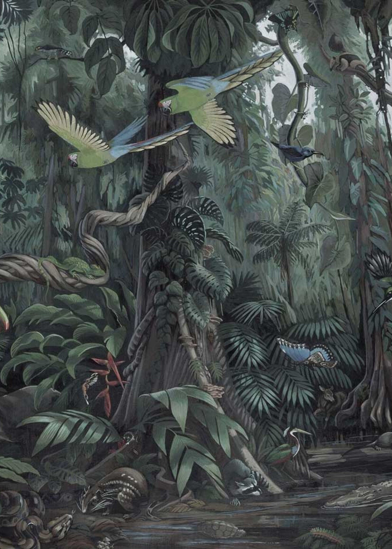Jungle behang Tropical Landscapes