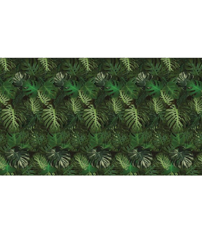 Botanical wallpaper Monstera, 97.4 x 280 cm
