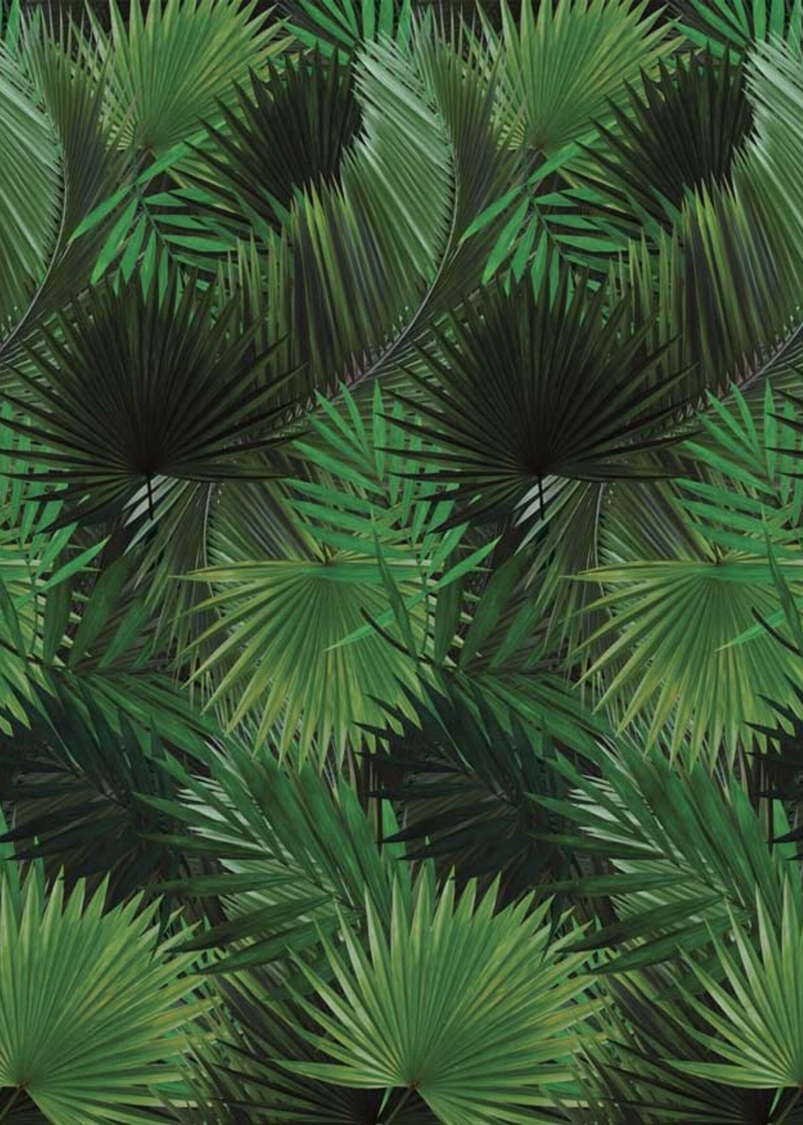 Botanical wallpaper Palm, 97.4 x 280 cm