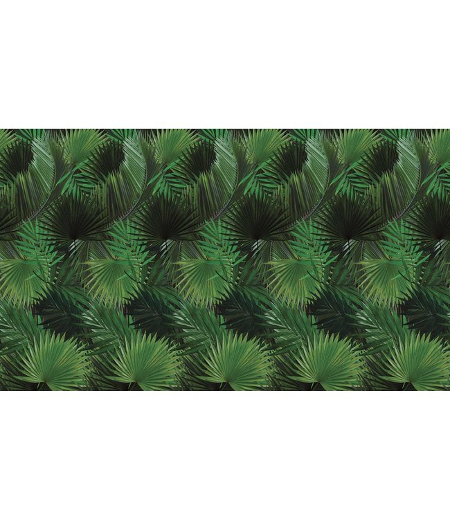 Botanical wallpaper Palm, 97.4 x 280 cm
