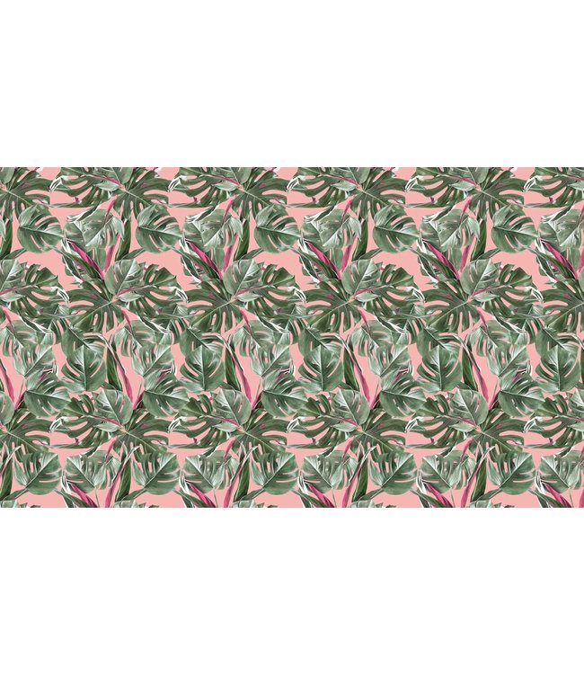 Bladeren behang Monstera, 97.4 x 280 cm