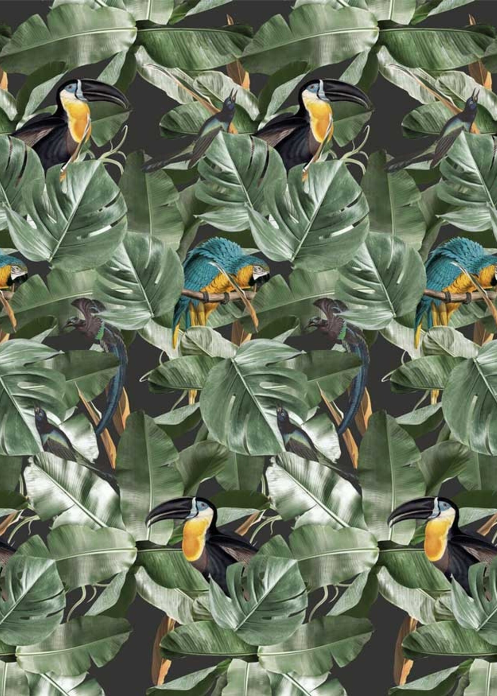 Wallpaper Botanical Birds, 97.4 x 280 cm
