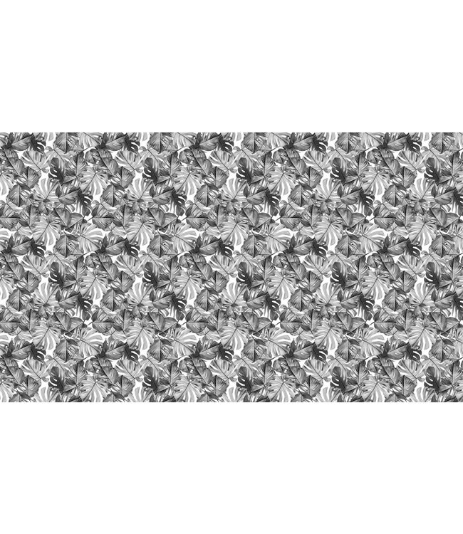 Botanical wallpaper Monstera, 97.4 x 280 cm