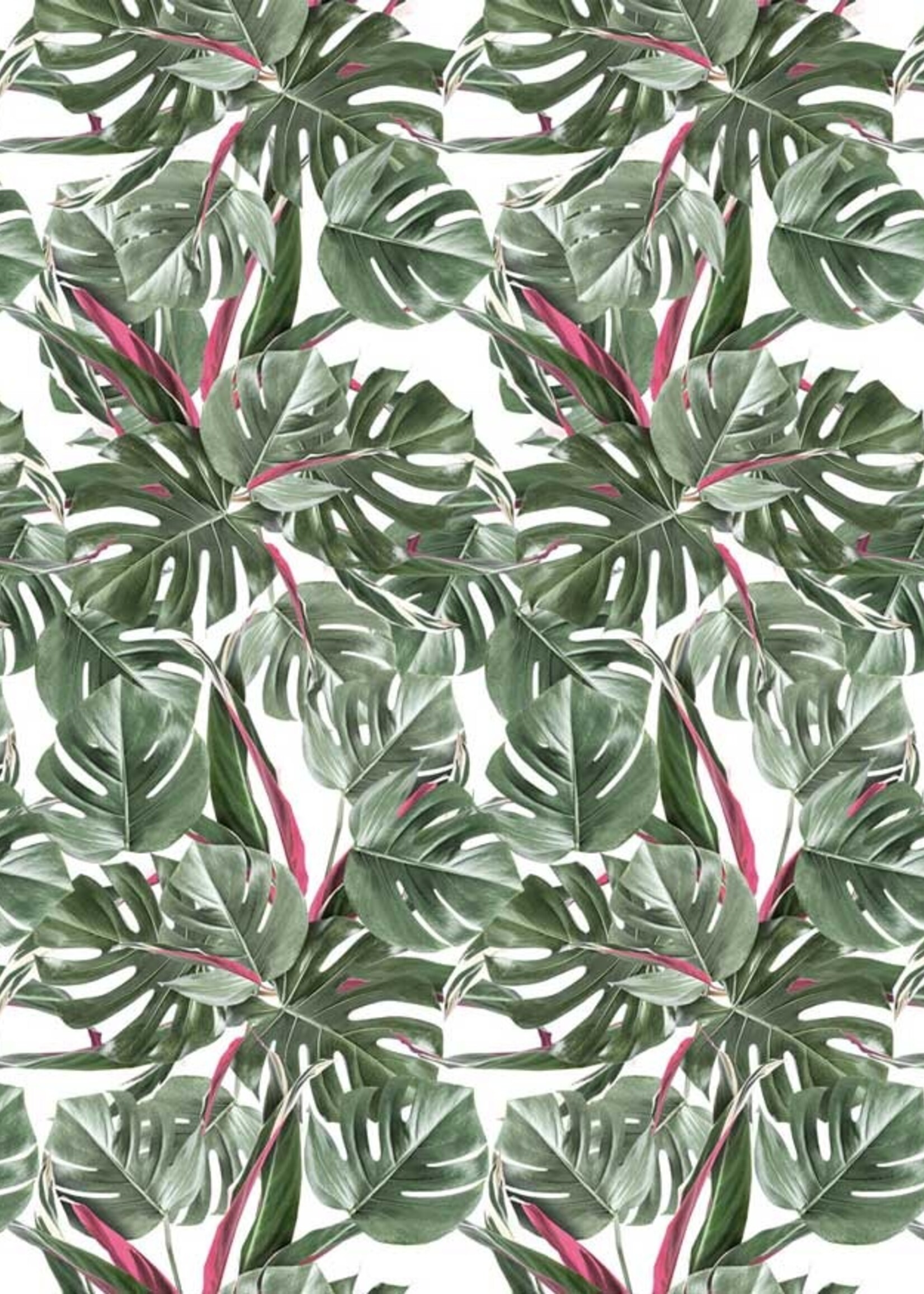 Botanical Tapete Monstera, 97.4 x 280 cm