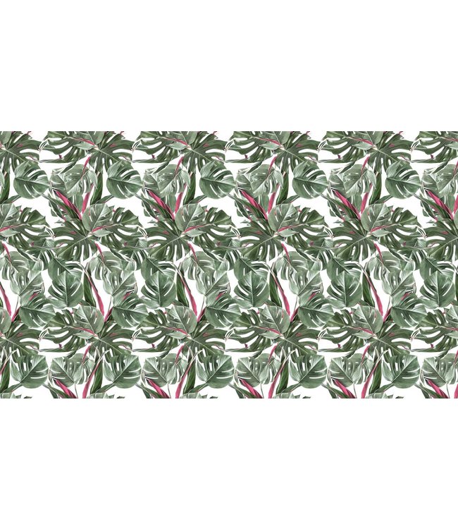 Botanical Tapete Monstera, 97.4 x 280 cm