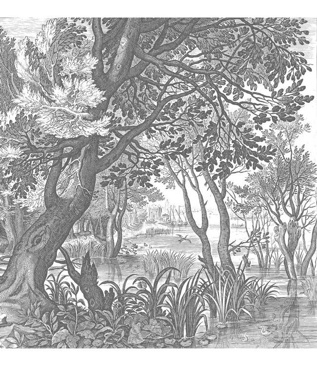 Landschap behang Engraved Landscapes