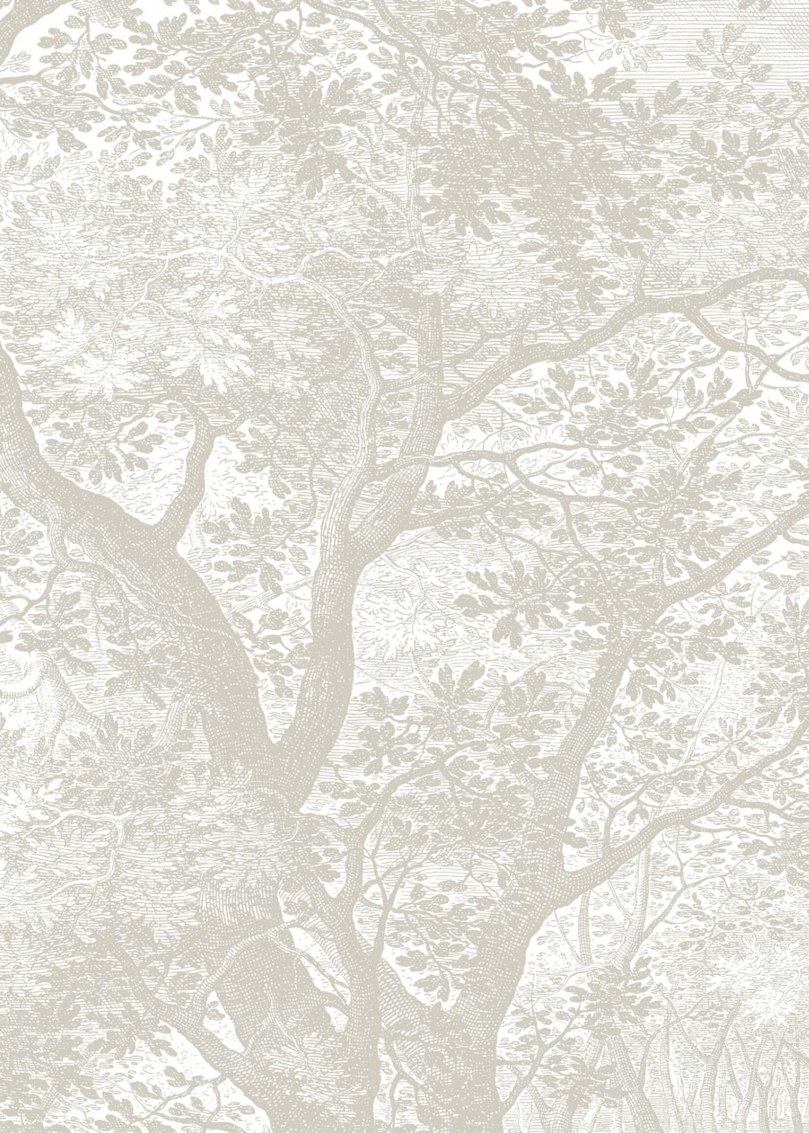 Wandvullend Engraved Landscapes wallpaper, Grey