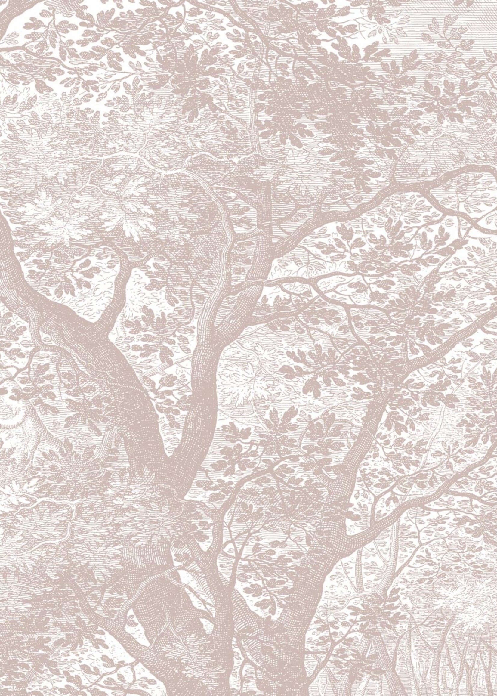 Wandvullend Engraved Landscapes, behang met getekend landschap, Nude