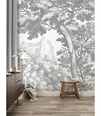 Wandvullend | Afwasbaar Engraved Landscapes wallpaper