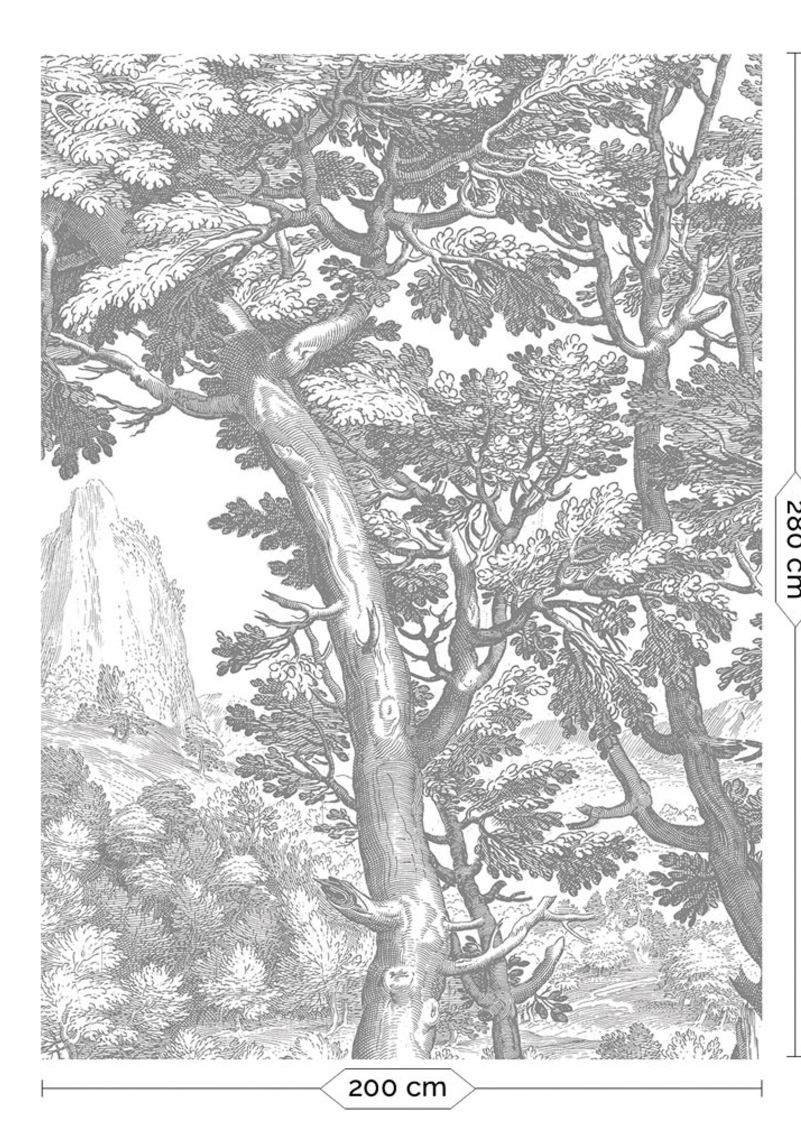 Wandvullend Engraved Landscapes, behang met getekend landschap