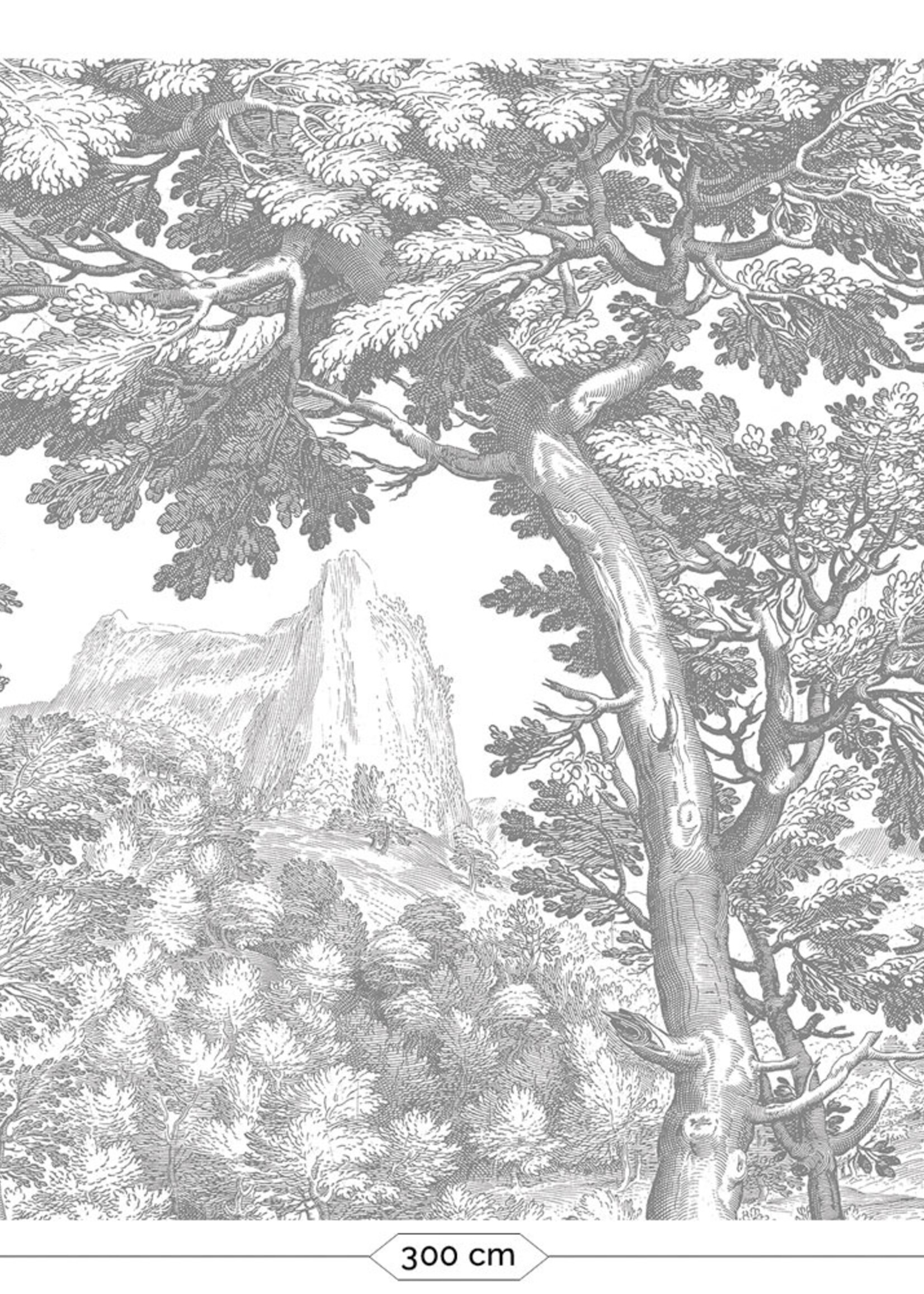 Wandvullend Engraved Landscapes, behang met getekend landschap