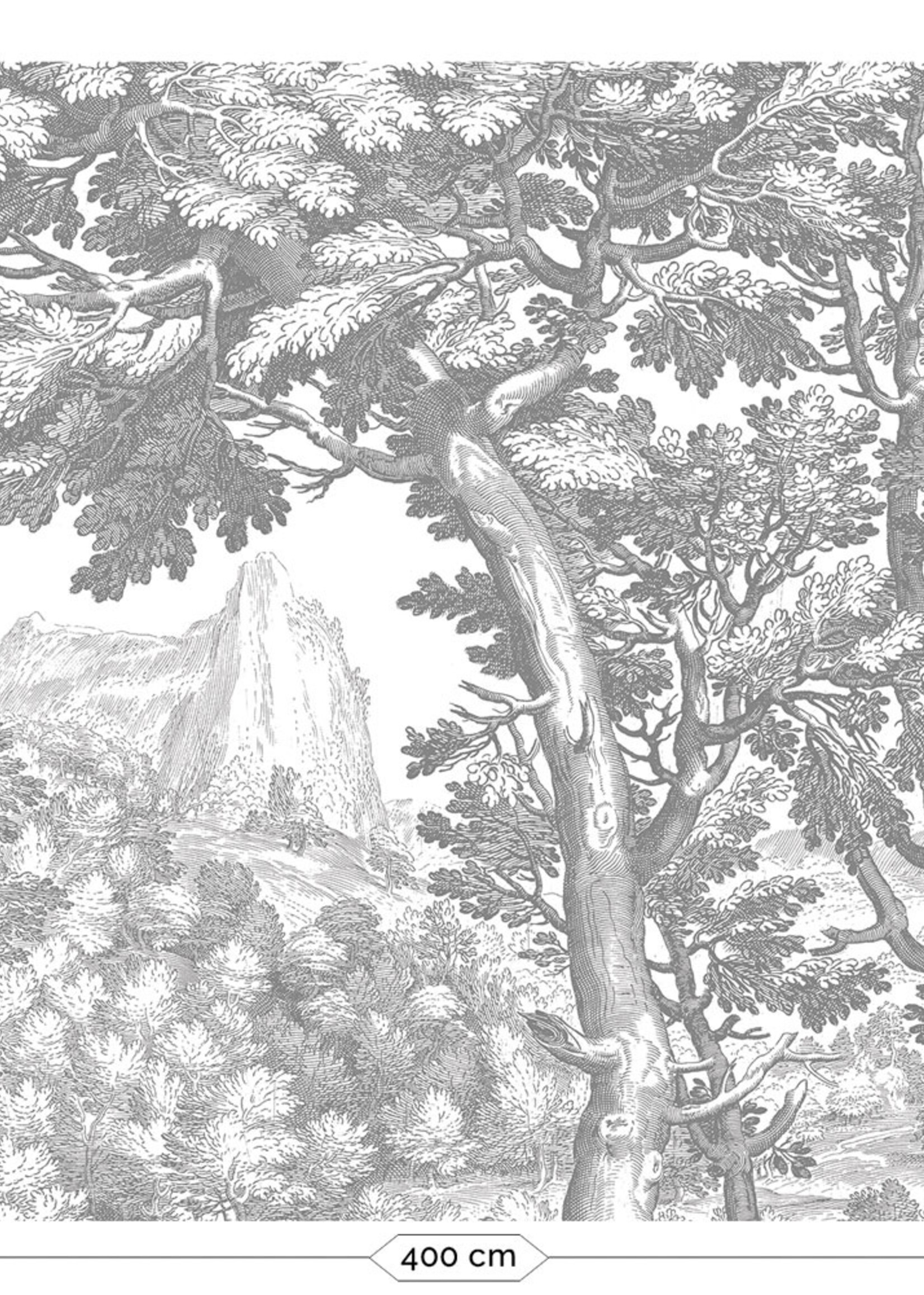 Wandvullend Engraved Landscapes, behang met getekend landschap